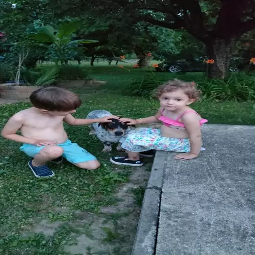 Meduna Vendégház Várvölgy 033 kép