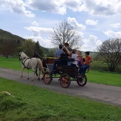 Pásztorház Vendégház Husztót 019 kép