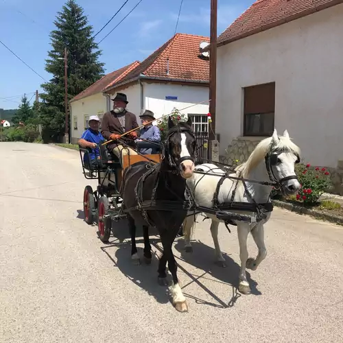 Pásztorház Vendégház Husztót 020 kép