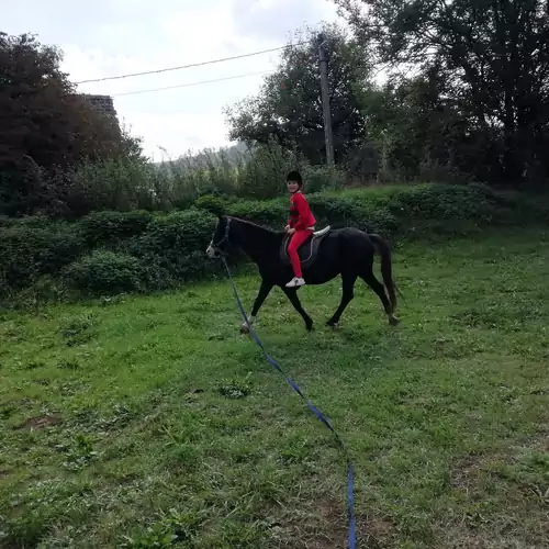 Pásztorház Vendégház Husztót 022 kép