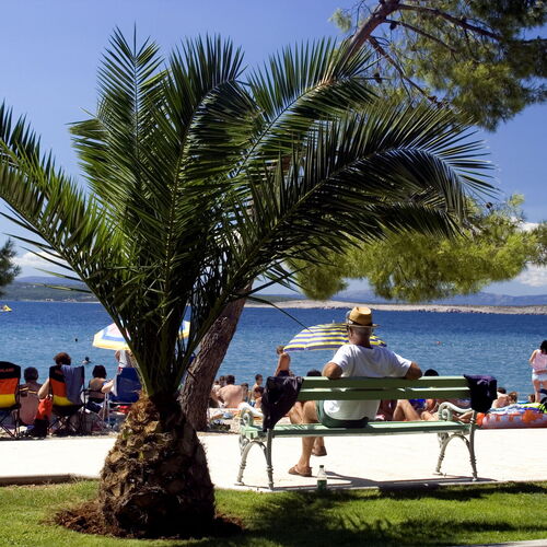 Apartman Striga Crikvenica  3