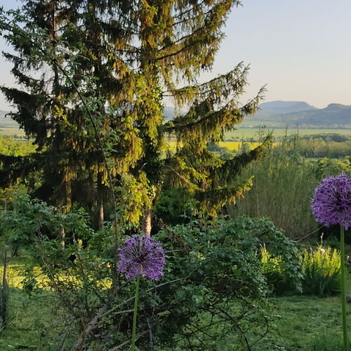 Öreghegy Vendégház Szentbékkálla  4