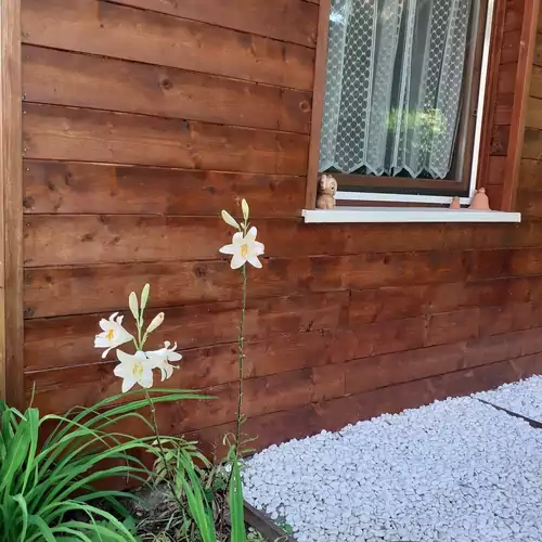 Szőlőfürt Apartman Balatonboglár 003 kép