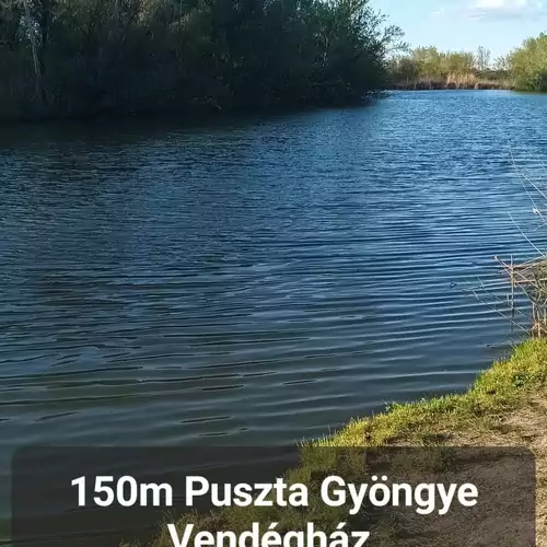 Puszta Gyöngye Vendégház Szarva 013 kép