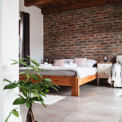 Alszer25 Vendégház Őriszentpéter