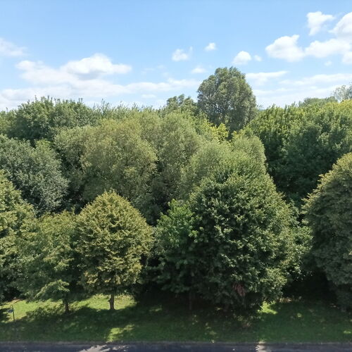 Szügyi Apartman Hévíz  2