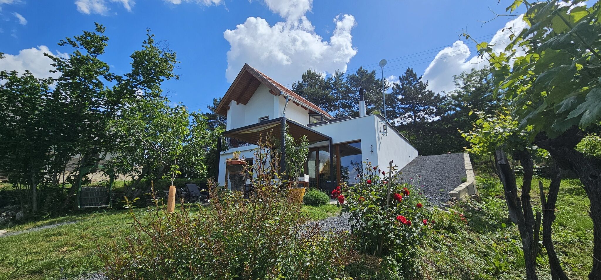 Szilva és Dió Présház Szent György-hegy Raposka