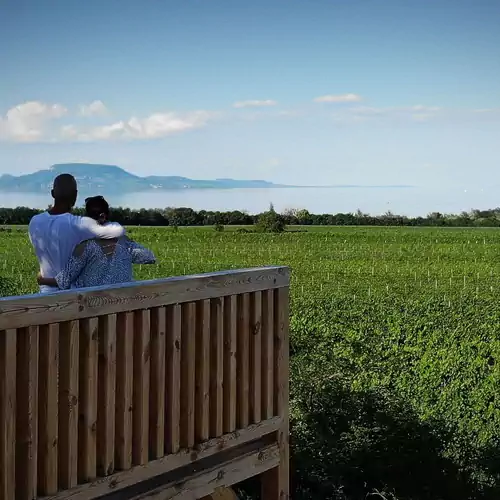 Szőlőhegyi Vendégház Balatonberény 004 kép