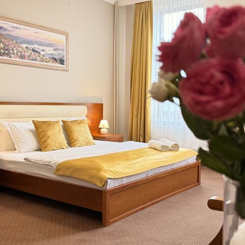 Vila Central Constanța