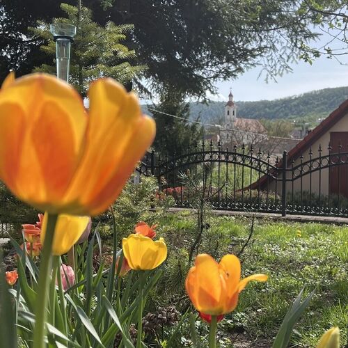 Malomvölgy Vendégház Tardos