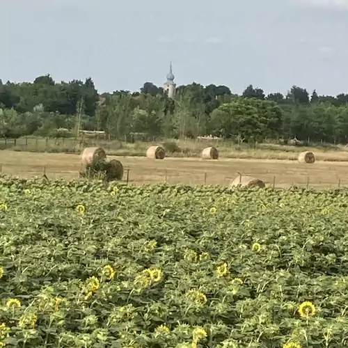 Kis Tisza Horgász Vendégház Tiszaug 021 kép