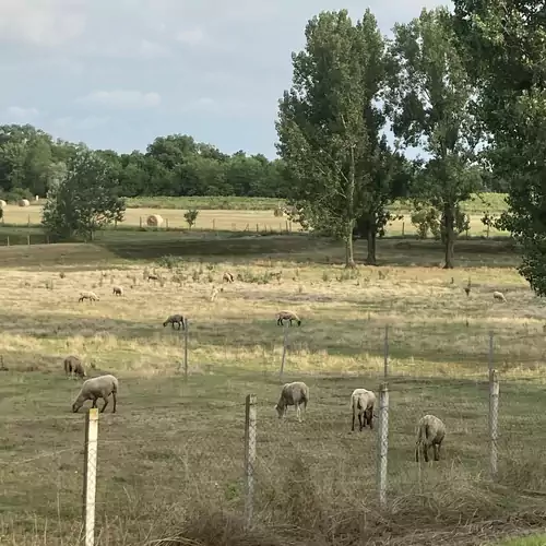 Kis Tisza Horgász Vendégház Tiszaug 022 kép