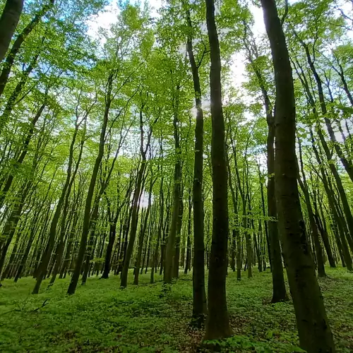 Gyepűszéle Vendégház Farkasgyepű 010 kép