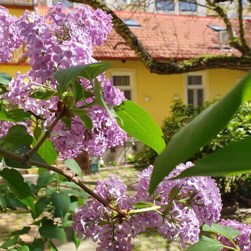 SzennA Vendégház Szeged