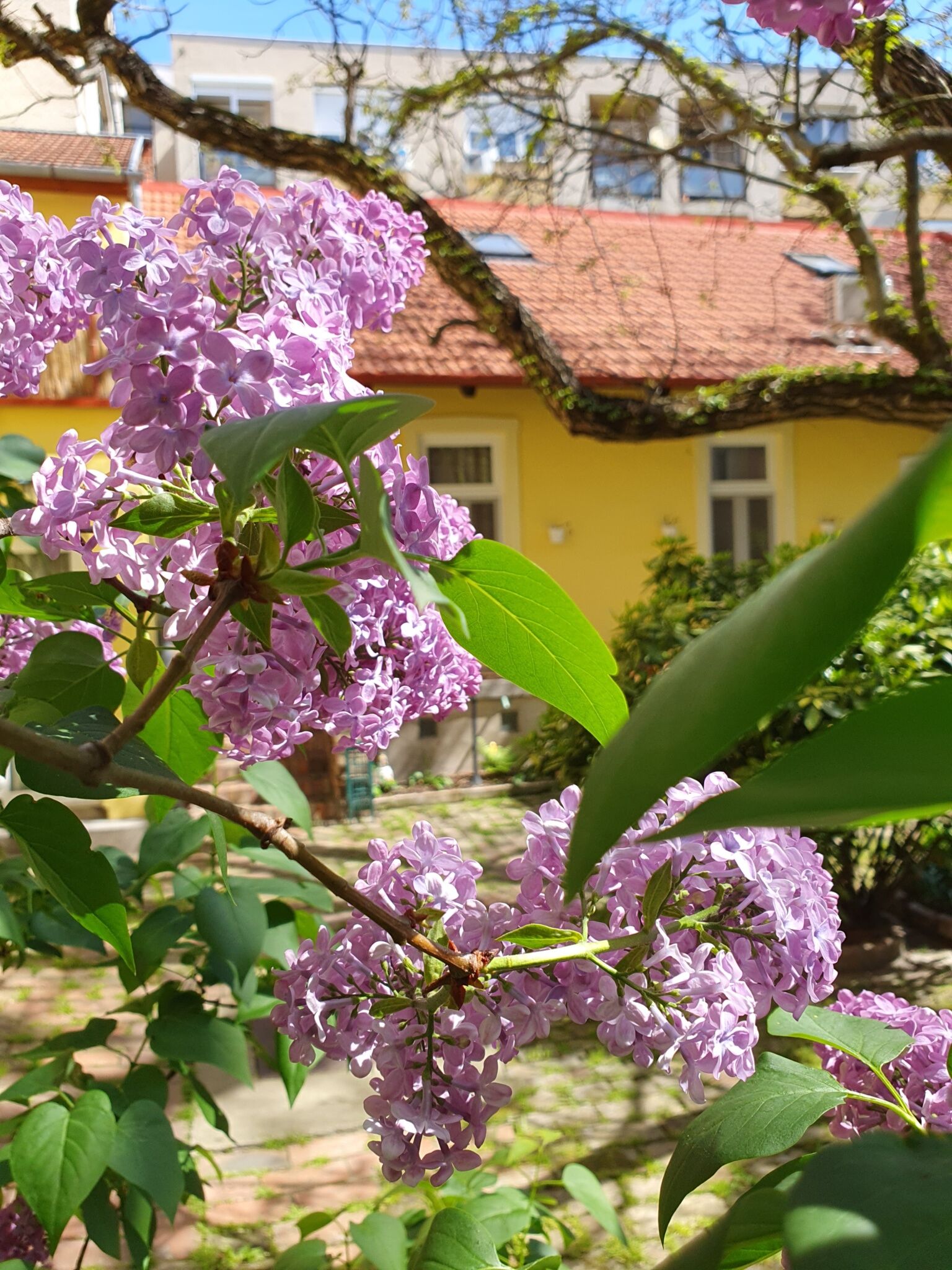 SzennA Vendégház Szeged