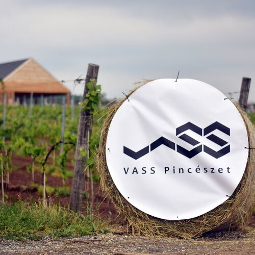 Vass Villa Vendégház és Pincészet Felsőörs  3