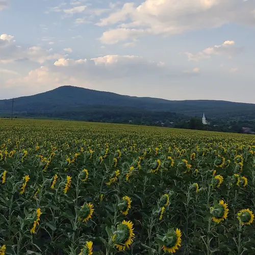 Csucska-Lak Vendégház Füzérkajata 061 kép