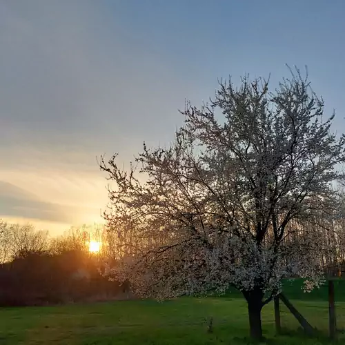 Szűcs Tisza Vendégház Tiszadada 018 kép