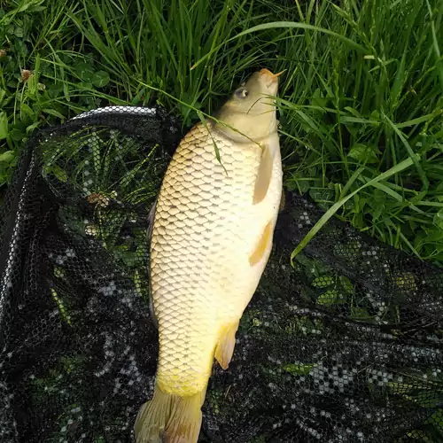 Szűcs Tisza Vendégház Tiszadada 028 kép