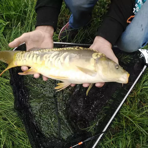 Szűcs Tisza Vendégház Tiszadada 029 kép