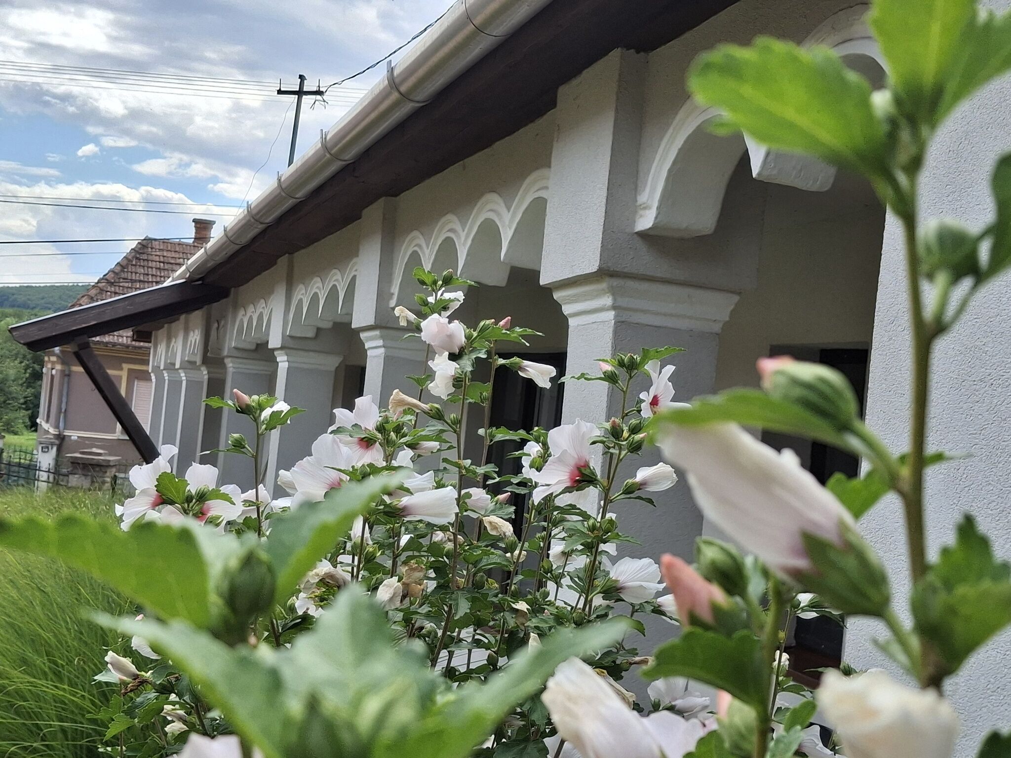 Téli Berek Vendégház Abod