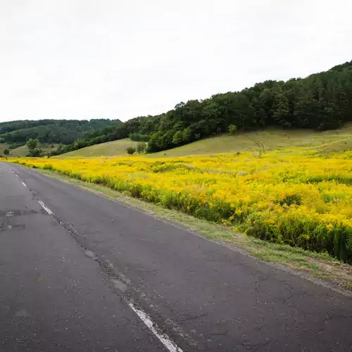 Vidéki Vendégház a Bükkben Pezsgőfürdővel Királd 039 kép