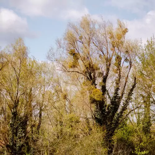 Alexandra Apartman Korona Szálláshely Keszthely 014 kép