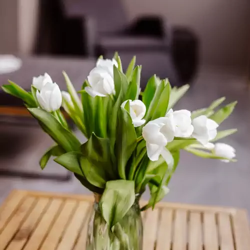 Alexandra Apartman Korona Szálláshely Keszthely 016 kép