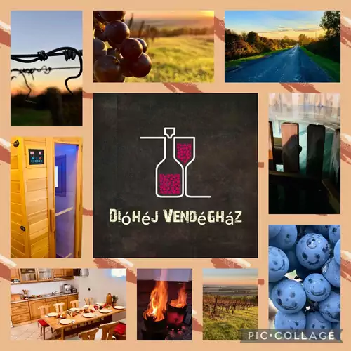 Dióhéj Vendégház Diósviszló 008 kép
