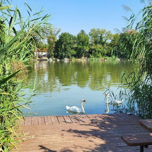 Pecó Kecó Ráckeve