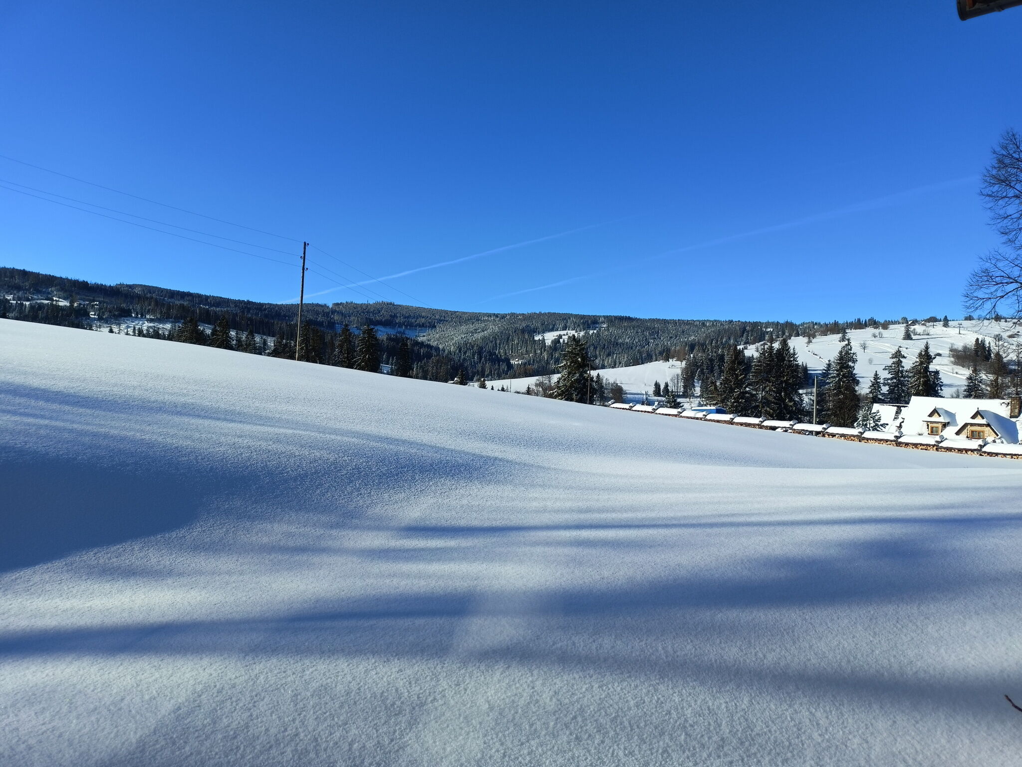 Villa Szarotka Dzianisz