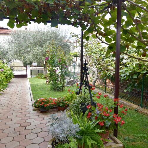 Apartman Elizabeta Umag  4