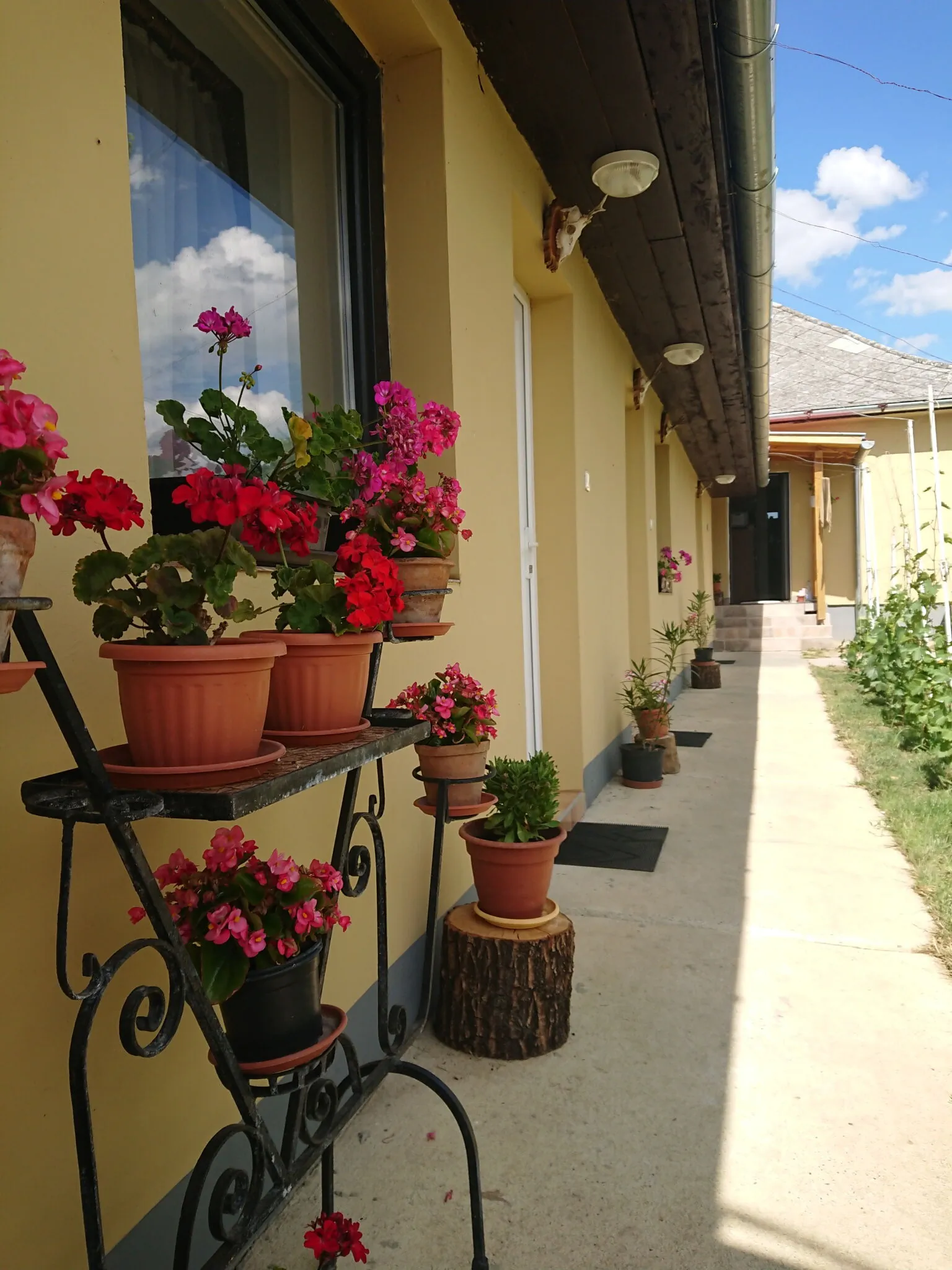 Gőgő Parti BM Tanya Nagyszekeres