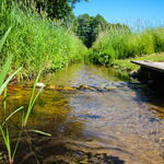 Wellness, relaks
