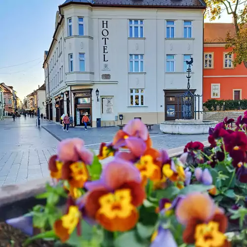 Hotel Domus Collis Győr 003 kép