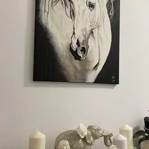 Csatangoló Lovas Vendégház Öregcsertő 020 kép