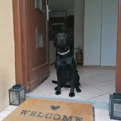 LakeLove Házikó Sopro 024 kép