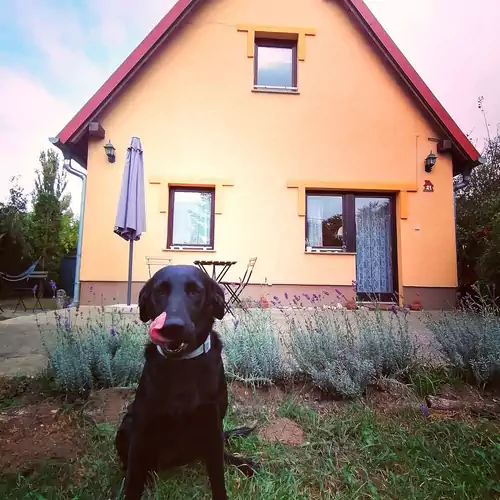 LakeLove Házikó Sopro 002 kép