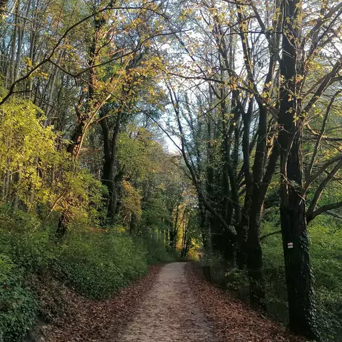 LakeLove Házikó Sopro 025 kép