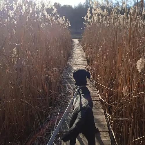 LakeLove Házikó Sopro 035 kép