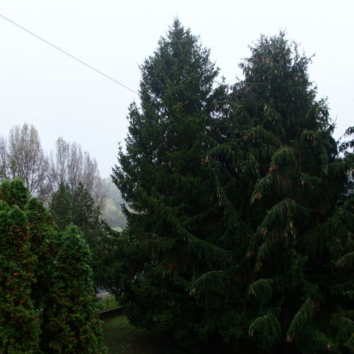 Kilátás 1