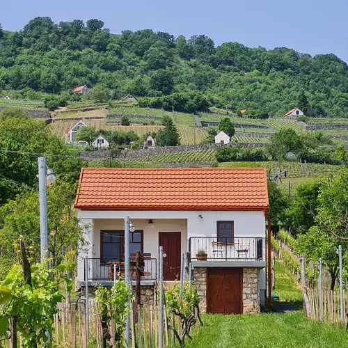 Jera Pince és Vendégház Somlóvásárhely 001 kép