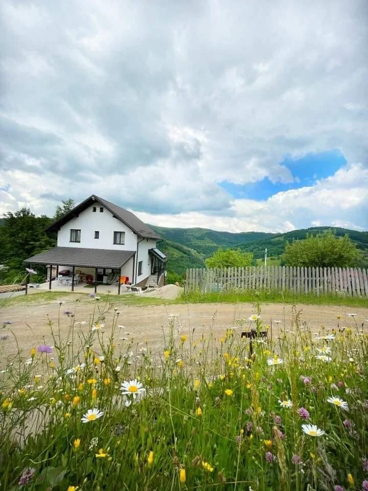 Pensiunea K9 Răchițele