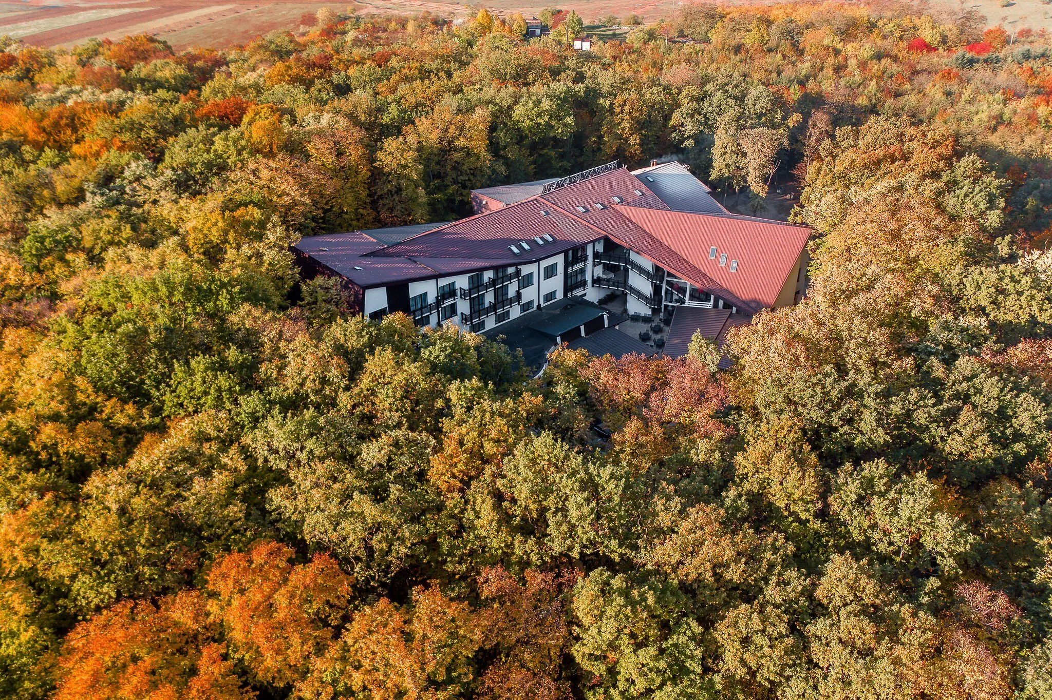 Rediu Hotel & Restaurant Botoșani