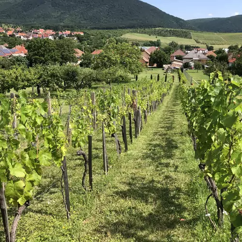 Panoráma Apartman Felsőtárkány 032 kép