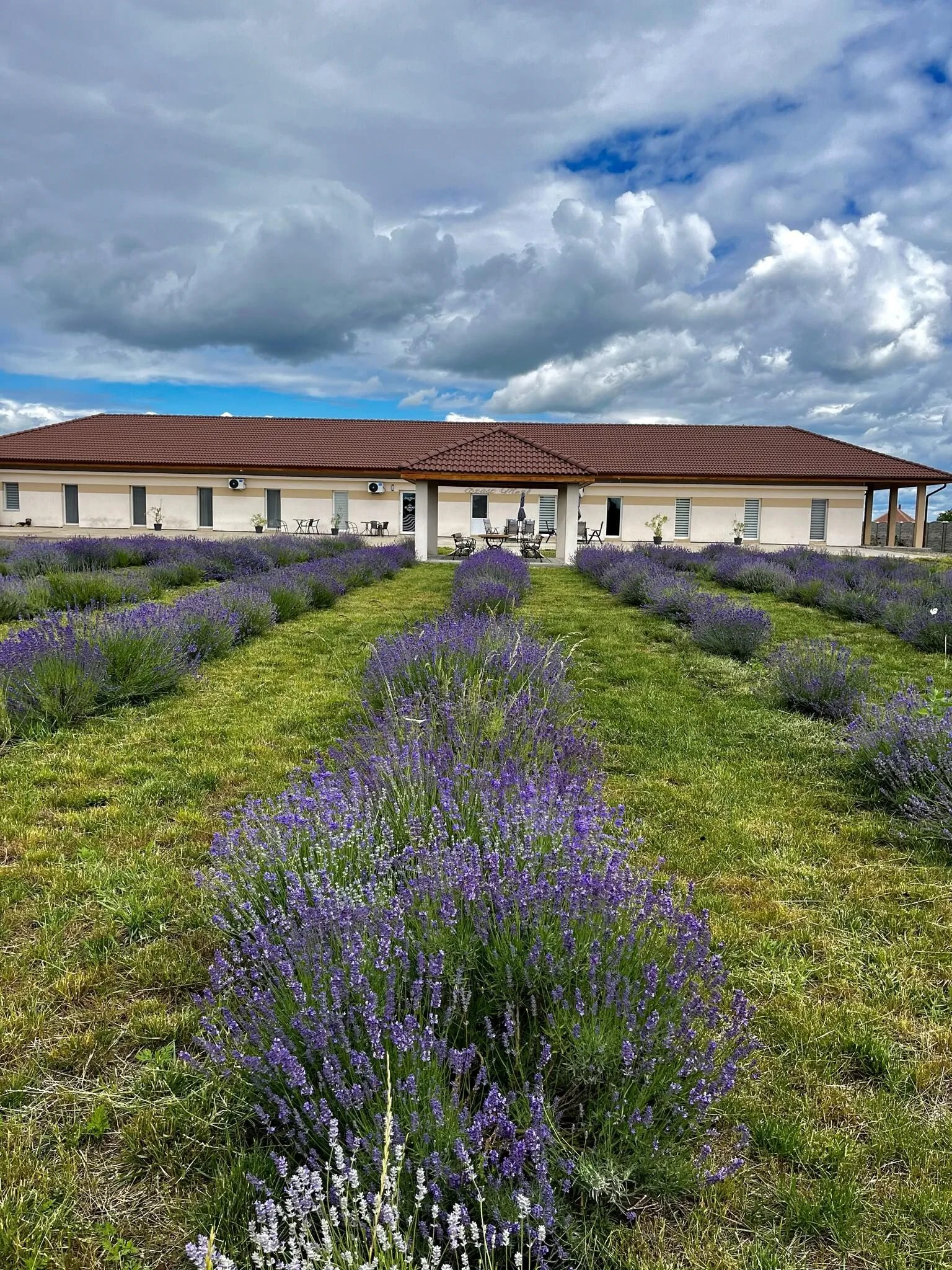 Ezüst Mező Vendégház Nagyecsed