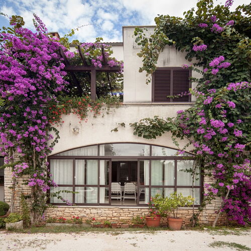 Apartments Tamara Rovinj  2