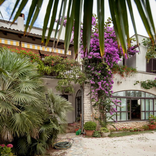 Apartments Tamara Rovinj  4