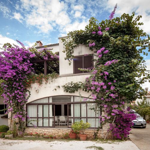 Apartments Tamara Rovinj