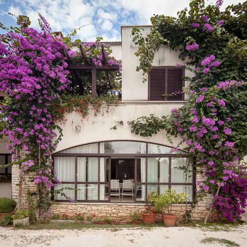 Apartments Nadia Rovinj  2